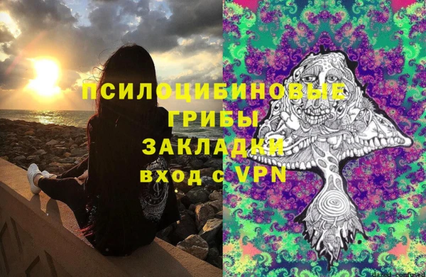 ALPHA PVP Бородино