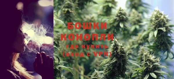 стаф Бронницы